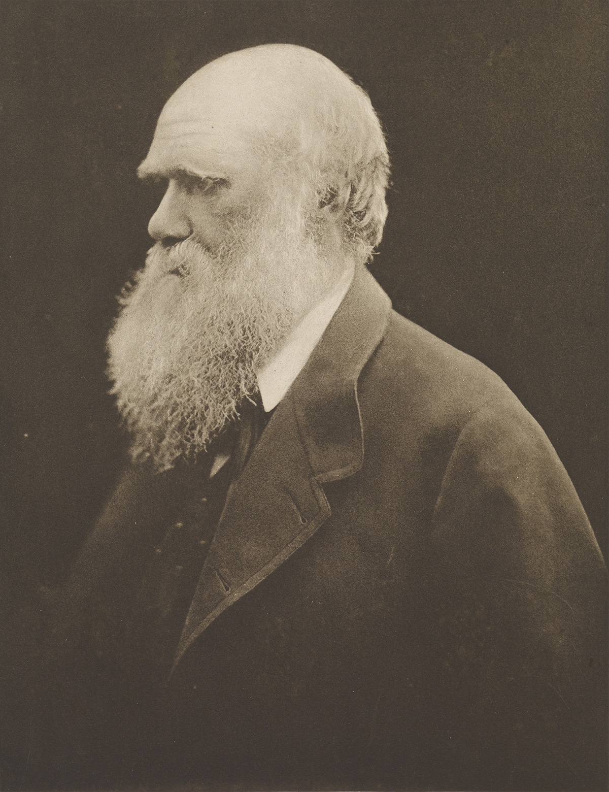 (JULIA MARGARET CAMERON) (1815-1879) Charles Darwin.